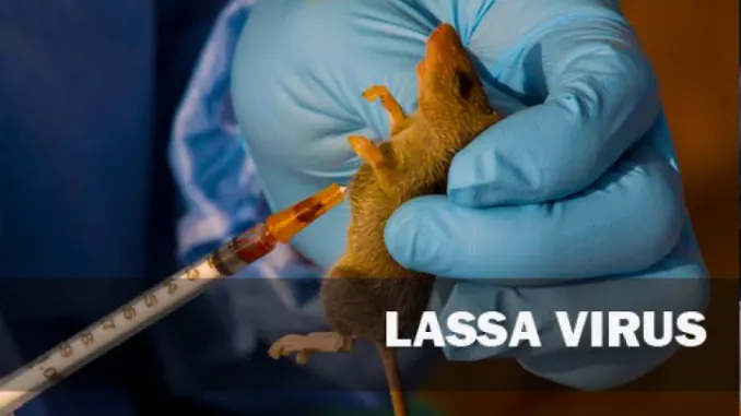 FG To Launch Nationwide Exercise To Tackle Spread Of Lassa Fever