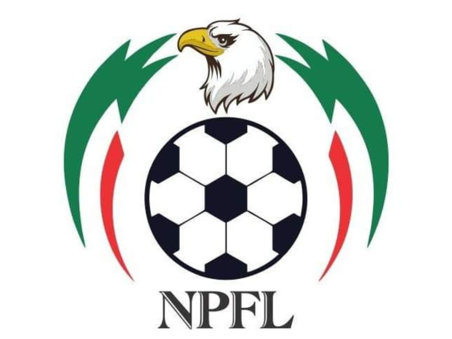 NPFL faces tough decisions after fans trouble mars Rangers vs Enyimba match