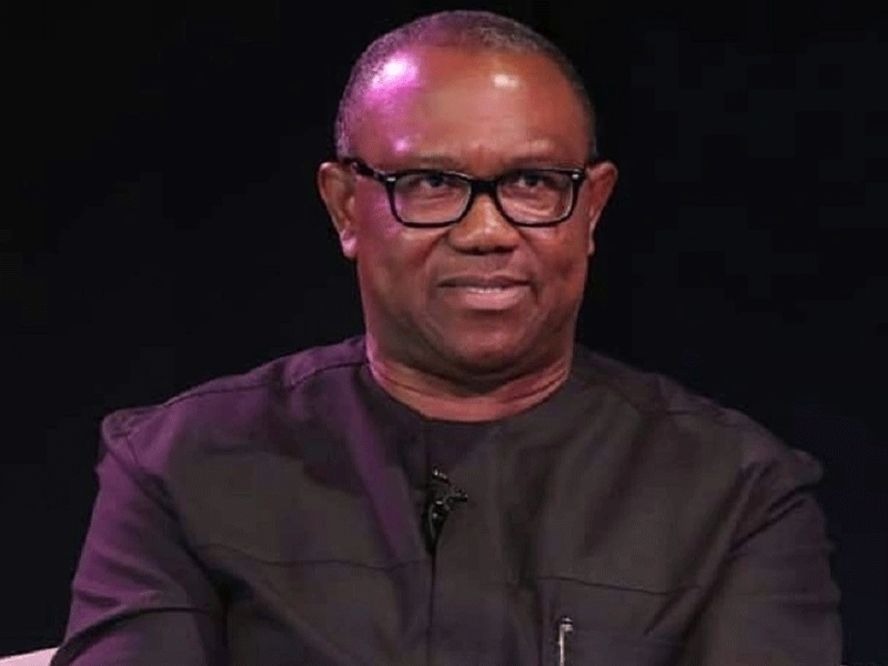 You lack understanding of Nigeria - Northern group blasts Peter Obi