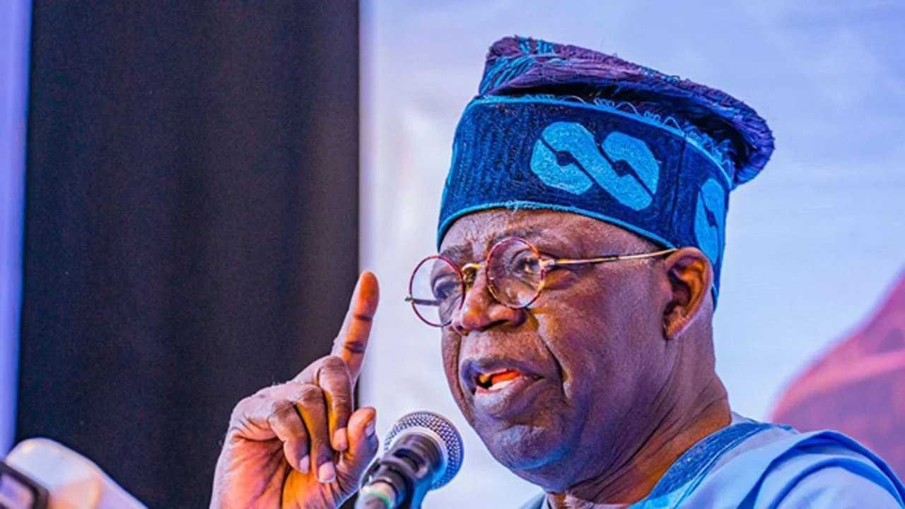 Africa can help the rest of the world - Tinubu