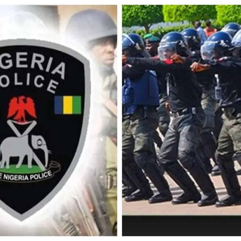 Kano: Police nab several protesters, recover looted items [VIDEO]