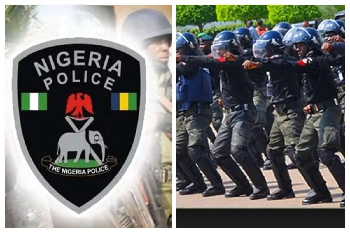 Kano: Police nab several protesters, recover looted items [VIDEO]